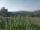 Webcam in Cantalupo Ligure, 17.6 mi away