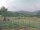 Webcam in Cantalupo Ligure, 18.5 km entfernt