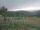 Webcam in Cantalupo Ligure, 5.3 mi away