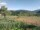 Webcam in Cantalupo Ligure, 0.5 km
