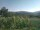 Webcam in Cantalupo Ligure, 6.6 mi away