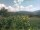 Webcam in Cantalupo Ligure, 0.5 km entfernt