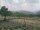 Webcam in Cantalupo Ligure, 50.3 km