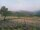 Webcam in Cantalupo Ligure, 18.5 km