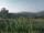 Webcam in Cantalupo Ligure, 10 mi away