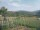 Webcam in Cantalupo Ligure, 39.2 km entfernt