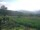 Webcam in Cantalupo Ligure, 39.5 km