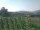 Webcam in Cantalupo Ligure, 15.2 mi away