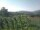 Webcam in Cantalupo Ligure, 18.5 km entfernt