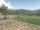 Webcam in Cantalupo Ligure, 13.1 km