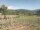 Webcam in Cantalupo Ligure, 66.7 km