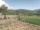 Webcam in Cantalupo Ligure, 12.1 km