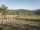 Webcam in Cantalupo Ligure, 12.1 km