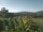 Webcam in Cantalupo Ligure, 18.5 km entfernt
