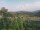 Webcam in Cantalupo Ligure, 12.2 mi away