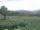 Webcam in Cantalupo Ligure, 18.5 km entfernt