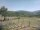 Webcam in Cantalupo Ligure, 5.3 mi away