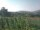 Webcam in Cantalupo Ligure, 6.6 mi away