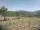 Webcam in Cantalupo Ligure, 5.1 mi away