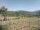 Webcam in Cantalupo Ligure, 0.2 mi away
