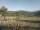 Webcam in Cantalupo Ligure, 0.2 mi away