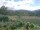 Webcam in Cantalupo Ligure, 39.5 km
