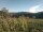 Webcam in Cantalupo Ligure, 6.6 mi away