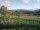 Webcam in Cantalupo Ligure, 12.3 km