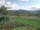Webcam in Cantalupo Ligure, 32.9 km