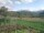 Webcam in Cantalupo Ligure, 12.3 km