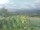 Webcam in Cantalupo Ligure, 10 mi away