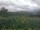 Webcam in Cantalupo Ligure, 18.5 km