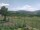 Webcam in Cantalupo Ligure, 33.4 km