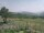 Webcam in Cantalupo Ligure, 39.5 km