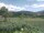 Webcam in Cantalupo Ligure, 5.1 mi away