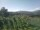Webcam in Cantalupo Ligure, 6.6 mi away