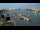 Webcam in Hamburg, 2.2 km entfernt