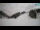 Webcam in Kranjska Gora, 1.9 km