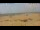 Webcam in Isla Canela, 25.6 mi away