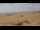 Webcam in Isla Canela, 168.5 km