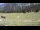 Webcam in Tschiertschen, 2.7 mi away