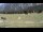Webcam in Tschiertschen, 6.9 km