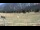 Webcam in Tschiertschen, 6.3 km