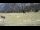 Webcam in Tschiertschen, 2.7 mi away