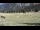 Webcam in Tschiertschen, 6.3 km entfernt