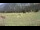 Webcam in Tschiertschen, 6.3 km