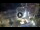 Webcam in Santa Cruz de Tenerife, 0.4 km entfernt