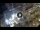 Webcam in Santa Cruz de Tenerife, 0.1 mi away