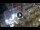 Webcam in Santa Cruz de Tenerife, 0.1 mi away