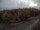 Webcam in Schierke, 1.7 mi away